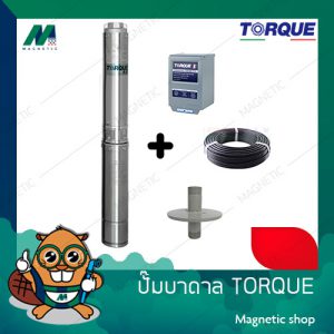 ปั๊มบาดาล TORQUE 3" 1 HP - 2HP 220 V  ครบชุด