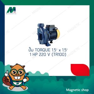 ปั๊ม TORQUE 1.5" x 1.5" 1 HP 220 V ( TR100 )