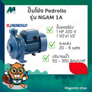 ปั๊มโข่ง Pedrollo ( รุ่น NGAM 1A ) 1HP 220V ( 11/2"x11/2" )