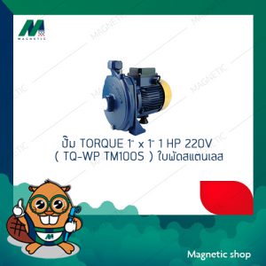 ปั๊ม TORQUE 1" x 1" 1 HP 220V  รุ่น TM100N  รุ่น TM100S