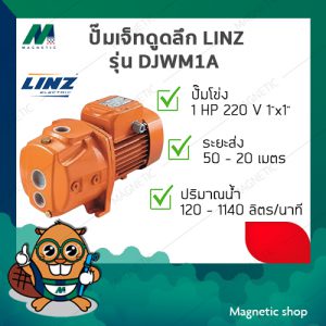 ปั๊มเจ็ทดูดลึก LINZ รุ่น DJWM1A ( 1 HP 220V. )