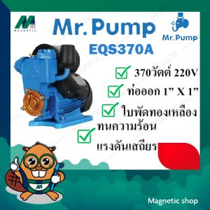 ปั๊มอัตโนมัติเปลือย MR.PUMP รุ่น EQS370A