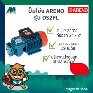 ปั๊มโข่งหน้าจาน (FL) ARENO รุ่น DS2FL 2" x 2" 2HP 220V